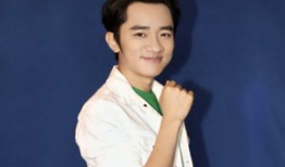 王祖蓝电视剧,喜剧人生，笑傲荧屏