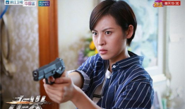 走火电视剧免费观看,揭秘神秘警队，免费观看探秘正义之路