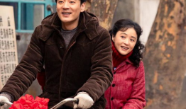 刘琳演过的电视剧,从父母爱情到人世间的深情演绎